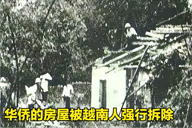 这是越南方面驱逐和打压华侨的照片,他们的房屋被拆除(图3),财产-今日头条