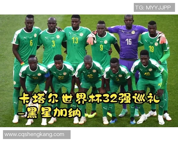 加纳足球明星汇总及其在国际赛场上的辉煌成就与影响力分析