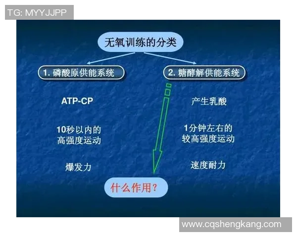 南京羽毛球队的战术演变与转换体系探讨 南京羽毛球队的战术演变与转换体系探讨