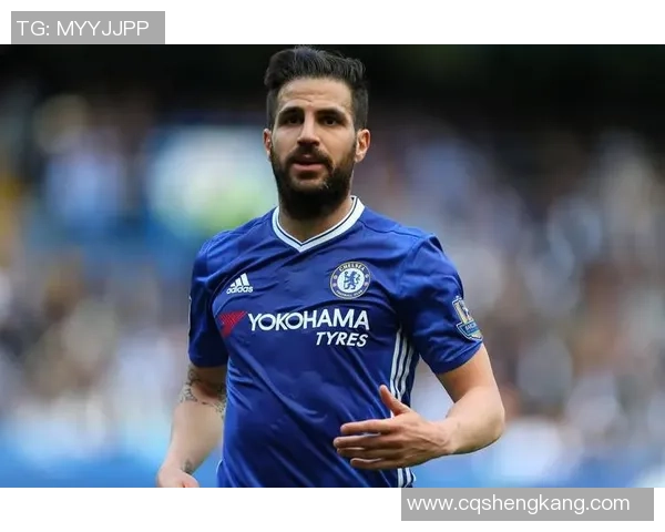 足球明星法布雷加斯的辉煌职业生涯与对足球的热爱故事