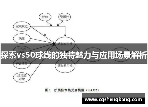 探索vs50球线的独特魅力与应用场景解析